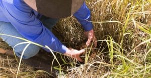 News Svg+xml;charset=utf 8,%3Csvg%20xmlns%3D