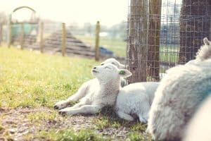 News Svg+xml;charset=utf 8,%3Csvg%20xmlns%3D