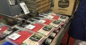 News Svg+xml;charset=utf 8,%3Csvg%20xmlns%3D